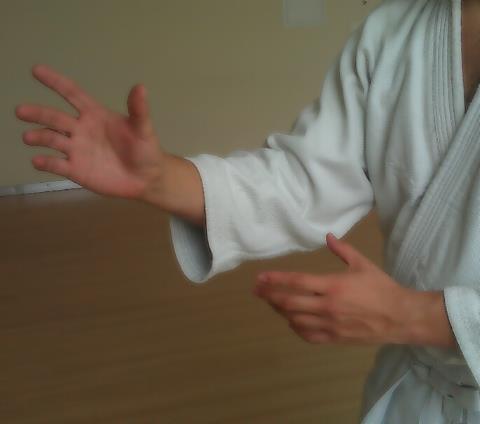 Takeda Ryu Aikido