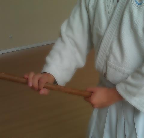 Takeda Ryu Jodo