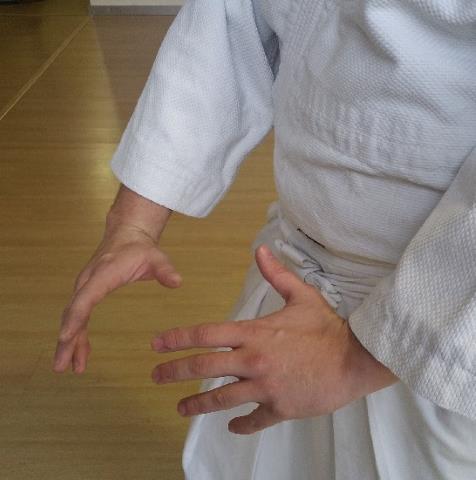 Takeda Ryu Jujitsu