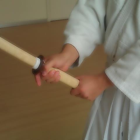 Takeda Ryu Kendo